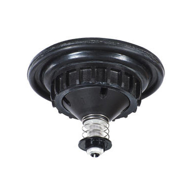 ICV-101G-FS - ICV 1" Globe Valve with Flow Control, Filter Sentry