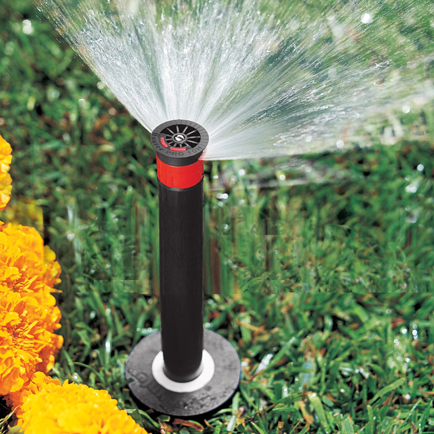 PROS-06 - 6" Pop-up Pro Spray Professional Grade Sprinkler Head