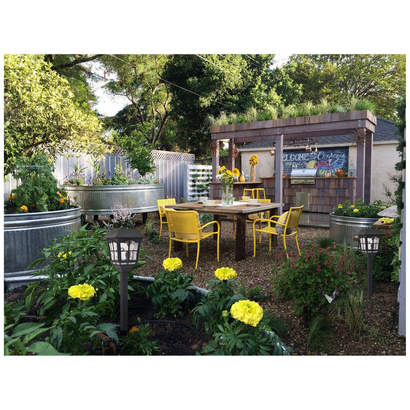 Rhea Solar Path Light - Pack of 6