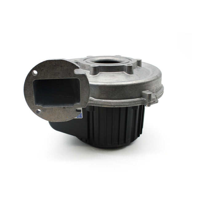 100318771 - Fan Noble 199