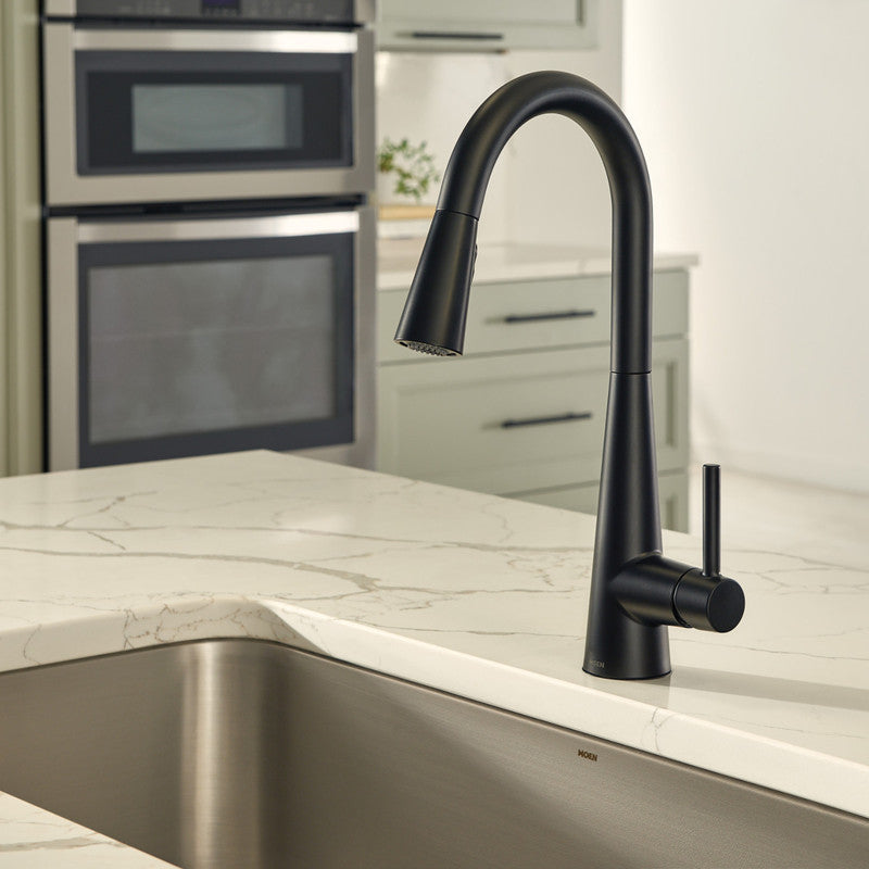 Sleek One-Handle High Arc Pulldown Kitchen Faucet