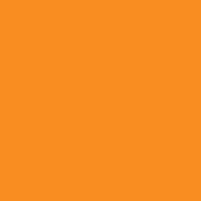 V2155838 - High Performance V2100 System Enamel Spray Paint - Safety Orange