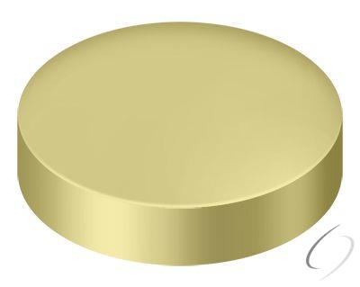 SCF100U3 Screw Cover; Round; Flat; 1" Diameter; Bright Brass Finish