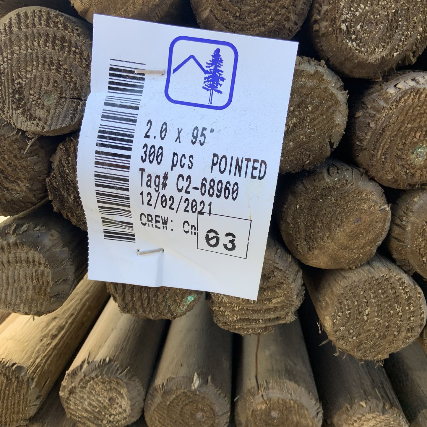 Pressure Treated Wooden Tree Stake, 2" x 95"