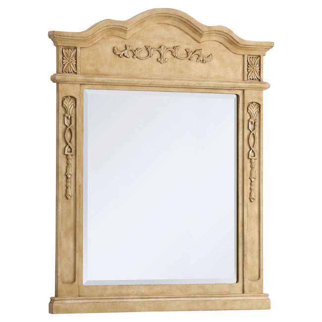 VM32836AB Danville 28" x 36" Wood Framed Decorative Mirror in Antique Beige
