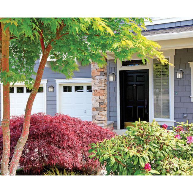 Z-Lite 554B - Aspen 1 Light 12" Sconce