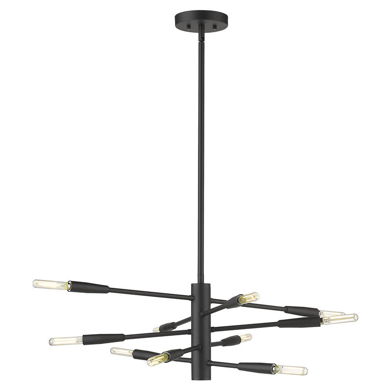 Z-Lite 737-10 - Ascension 10 Light 30" Chandelier