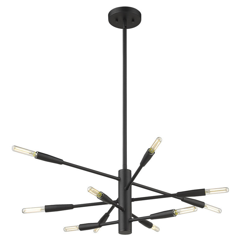 Z-Lite 737-10 - Ascension 10 Light 30" Chandelier