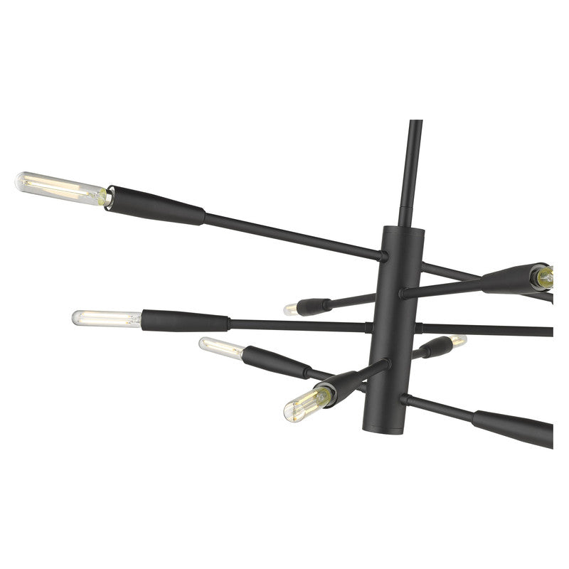 Z-Lite 737-10 - Ascension 10 Light 30" Chandelier