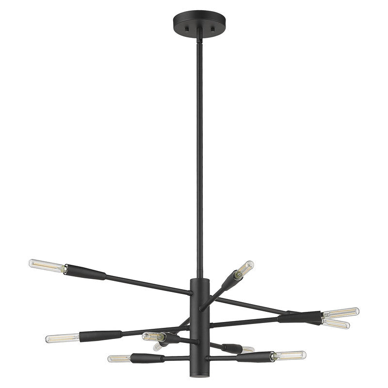 Z-Lite 737-10 - Ascension 10 Light 30" Chandelier