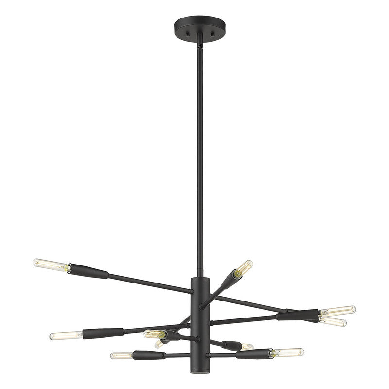 Z-Lite 737-10 - Ascension 10 Light 30" Chandelier