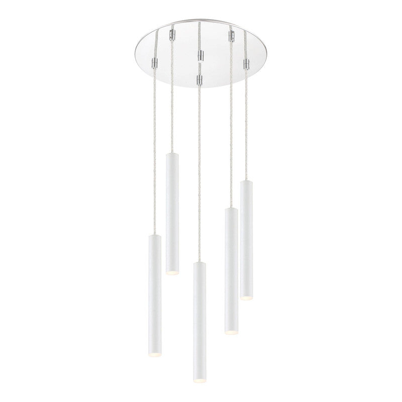 Z-Lite 917MP12-LED-5R - Forest 5 Light 14" Chandelier