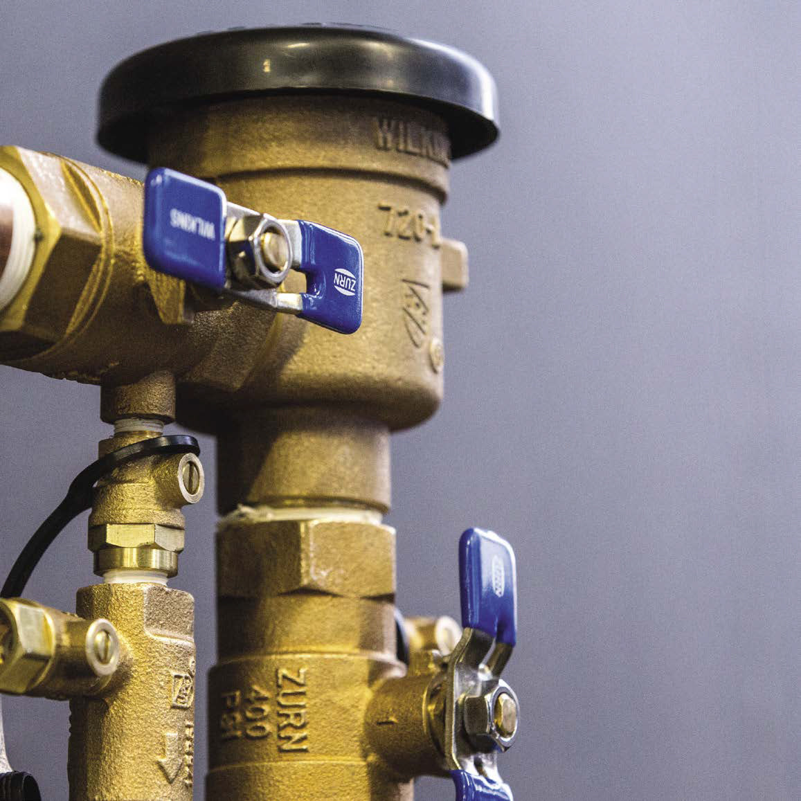 Zurn Wilkins 710 Pressure Vacuum Breaker Assembly