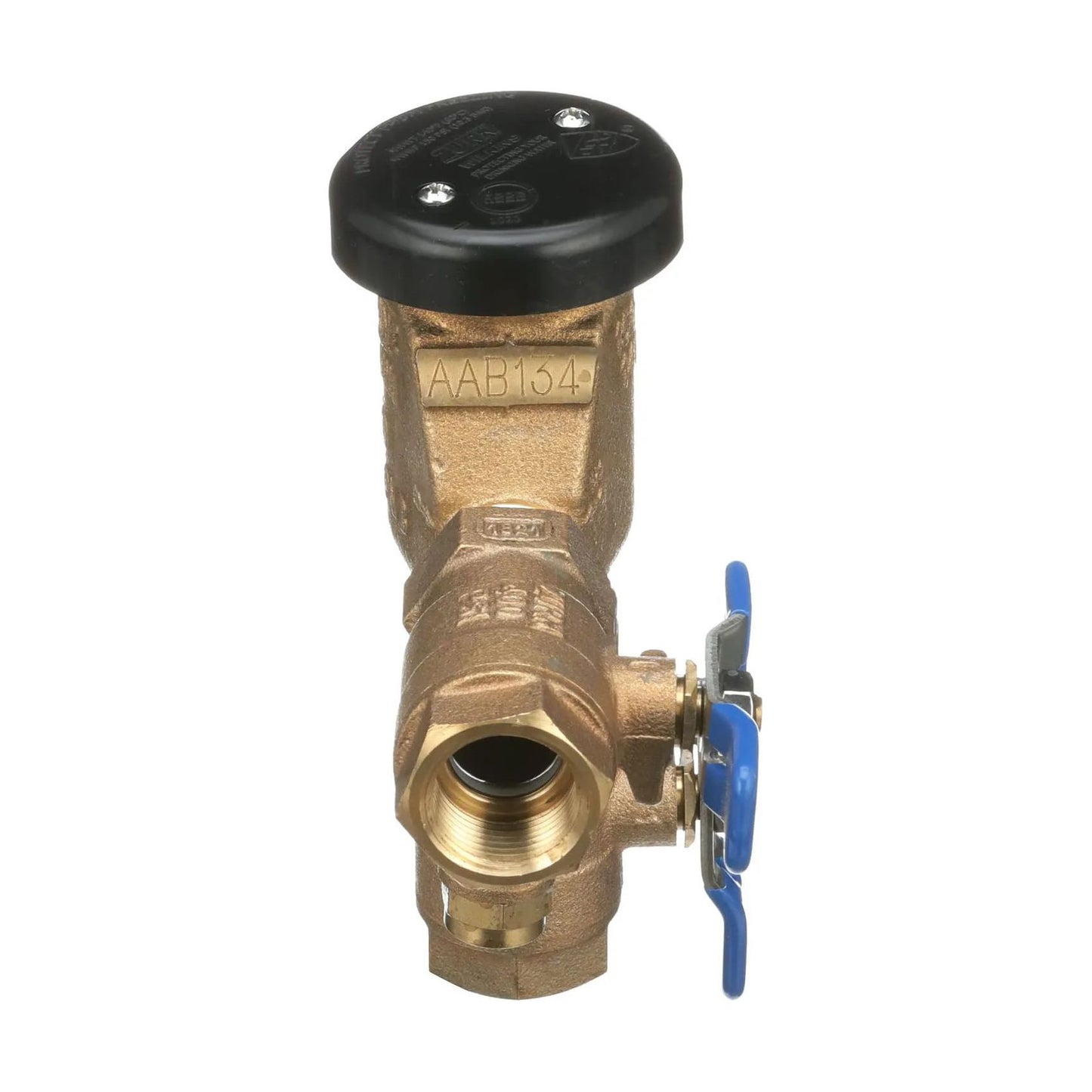 Zurn Wilkins 710 Pressure Vacuum Breaker Assembly